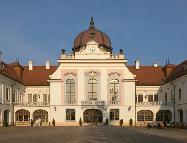 Alizetics® Torna Gödöllőn