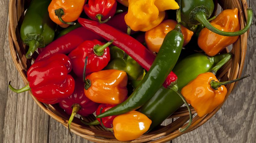 Miért lehet jó a csípős paprika a fájdalom ellen?